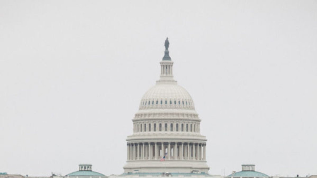 Women’s March on Washington, January 21st, 2017. Photo: Molly Adams via Flickr.