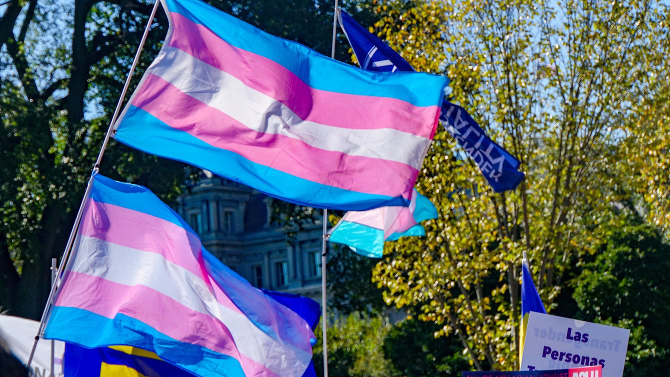 Two transgender flags flying. 