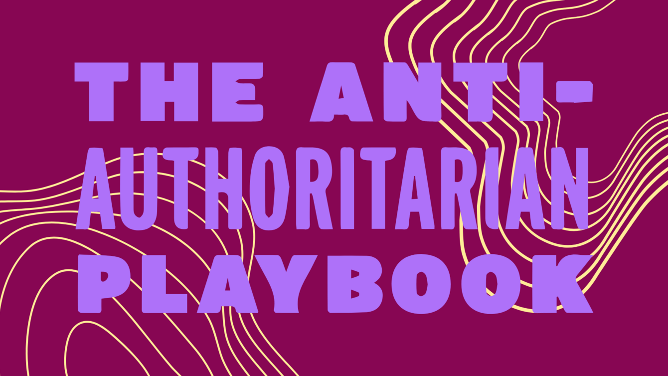 The Anti-Authoritarian Playbook
