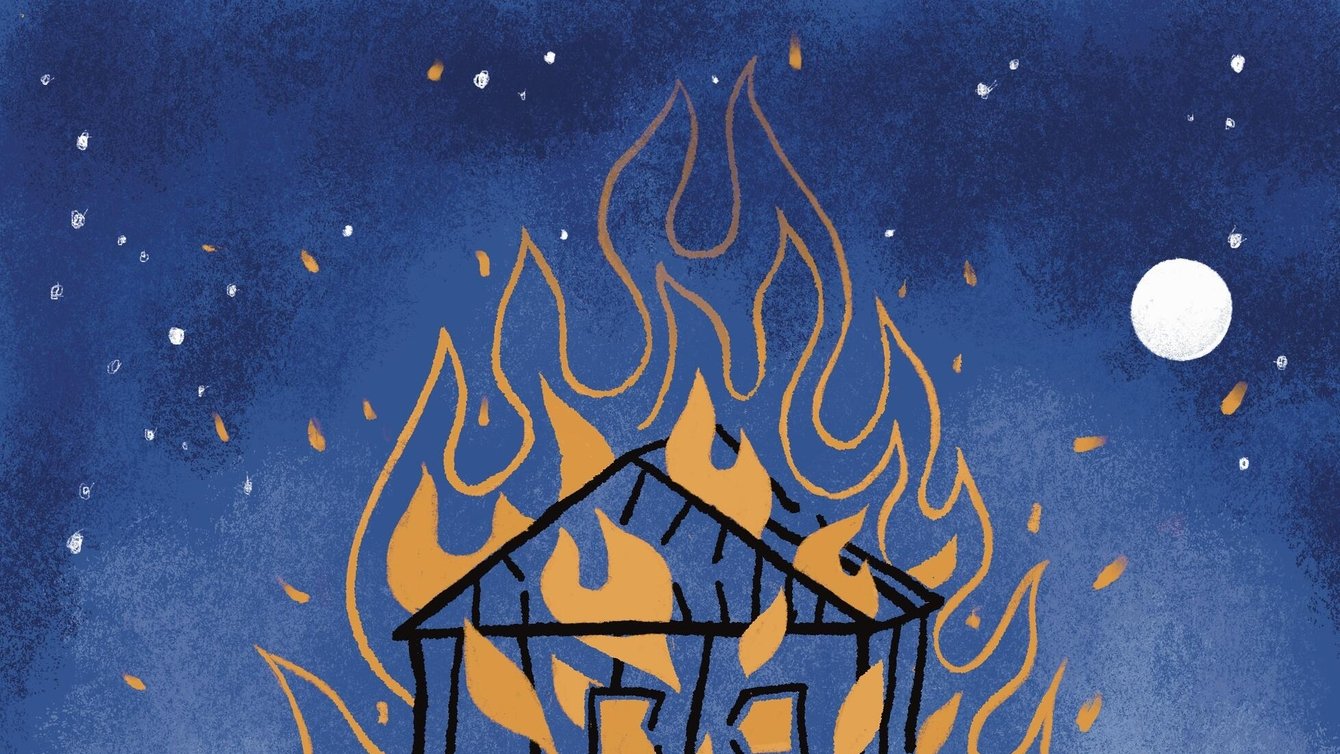 illustration of a house on fire, with seeds at the bottom