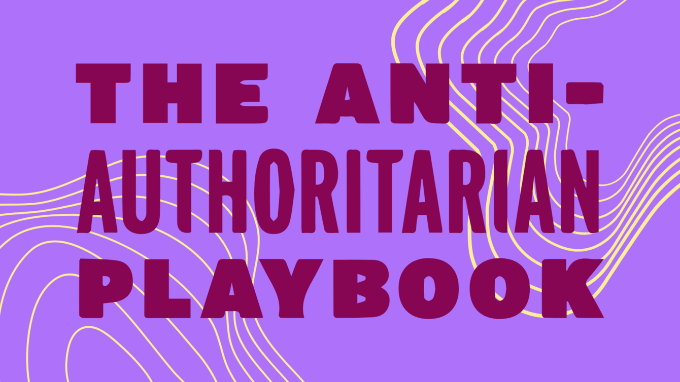 A purple background with a yellow line pattern and the words Anti-Authoritarian Playbook