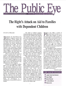 The Public Eye, Fall/Winter 1996 cover