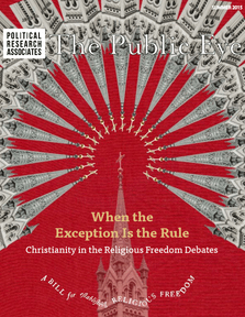 The Public Eye, Summer 2015 cover