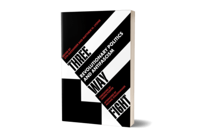 Book cover of Three Way Fight