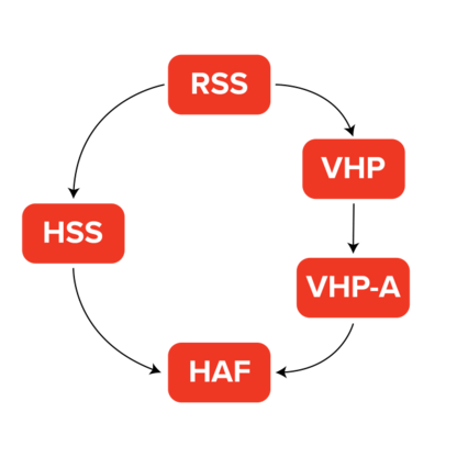 A cycle showing the connections of RSS to VHP and HSS, and then VHP-A and these orgs connections to HAF