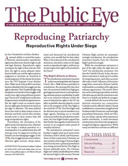 The Public Eye, Spring 2000 cover