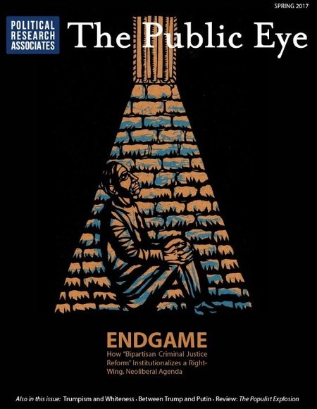 The Public Eye, Spring 2017 cover