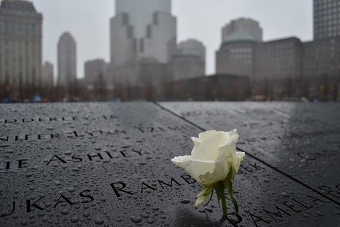 A white rose placed on the 9/11 memorial