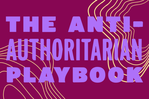 The Anti-Authoritarian Playbook