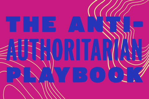 A pink background with yellow lines, and the words "The Anti-Authoritarian Playbook" in blue.