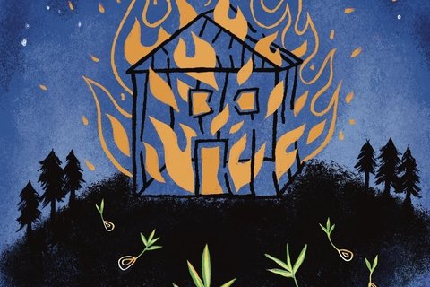 illustration of a house on fire, with seeds at the bottom